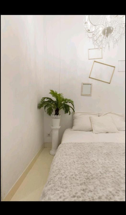 Apartment En Plein Coeur Du Panier Et Vieux Port Marseilles