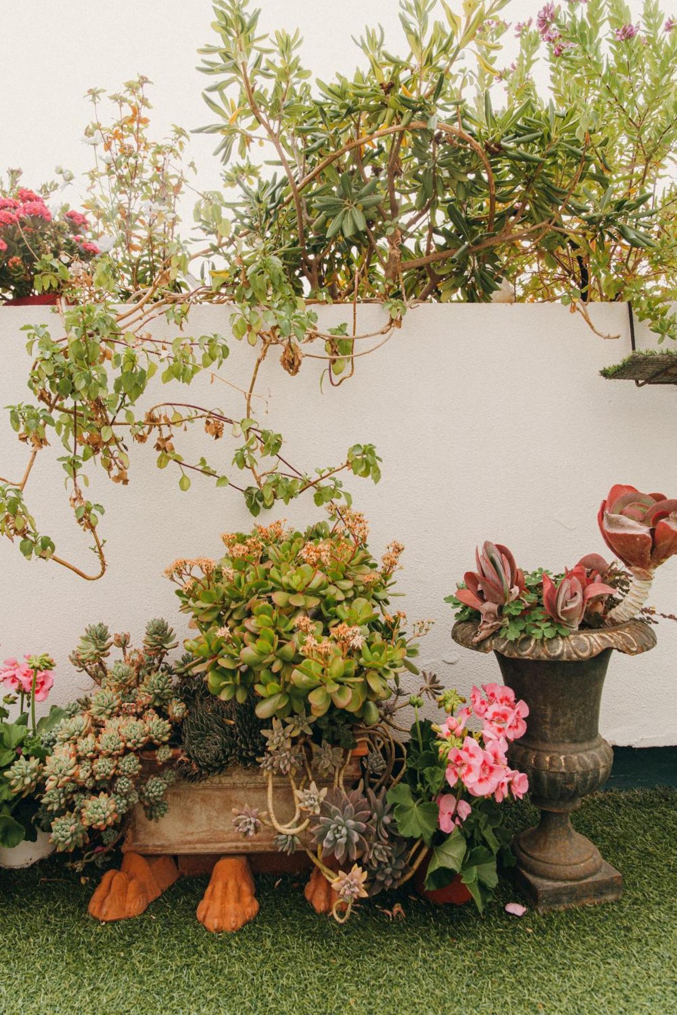 La Petite Maison Acomodação com café da manhã  Marselha