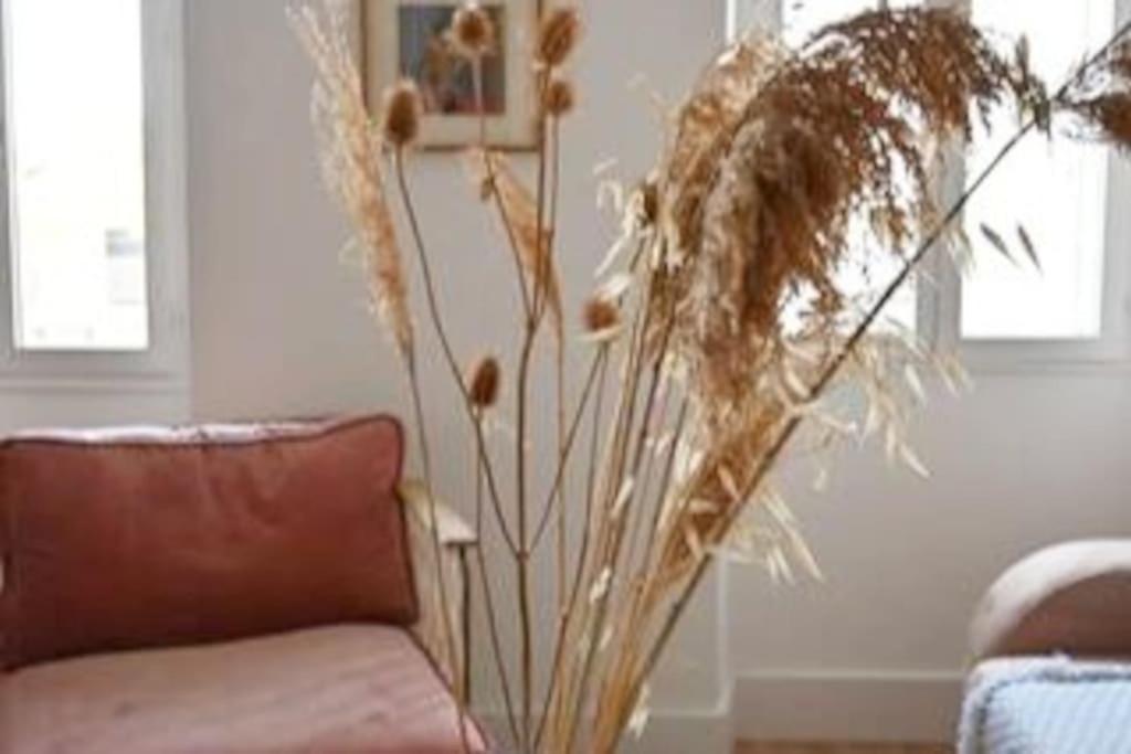 Apartment Chez Zize T2 Unique- Roucas-blanc Marseilles