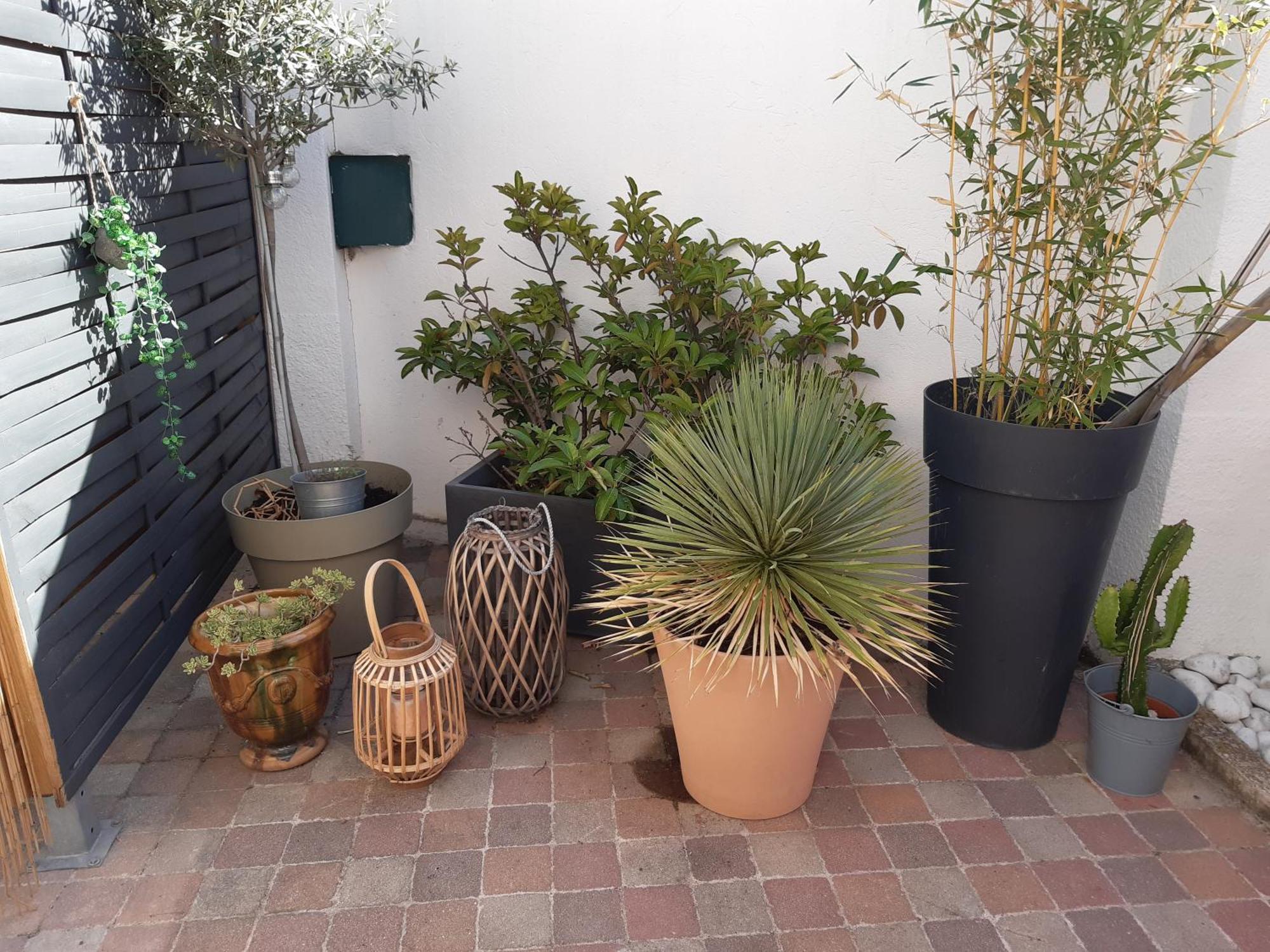 Grand Avec Patio