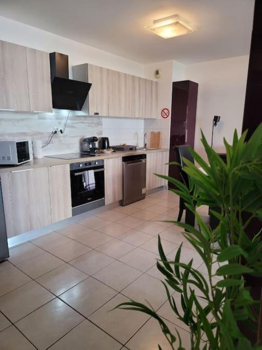 Appartement Panier De Papet, Velodrome/prado Avec Terrasse 3 Marseilles