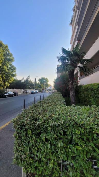 Panier De Papet, Velodrome/prado Avec Terrasse 3 Apartamento
