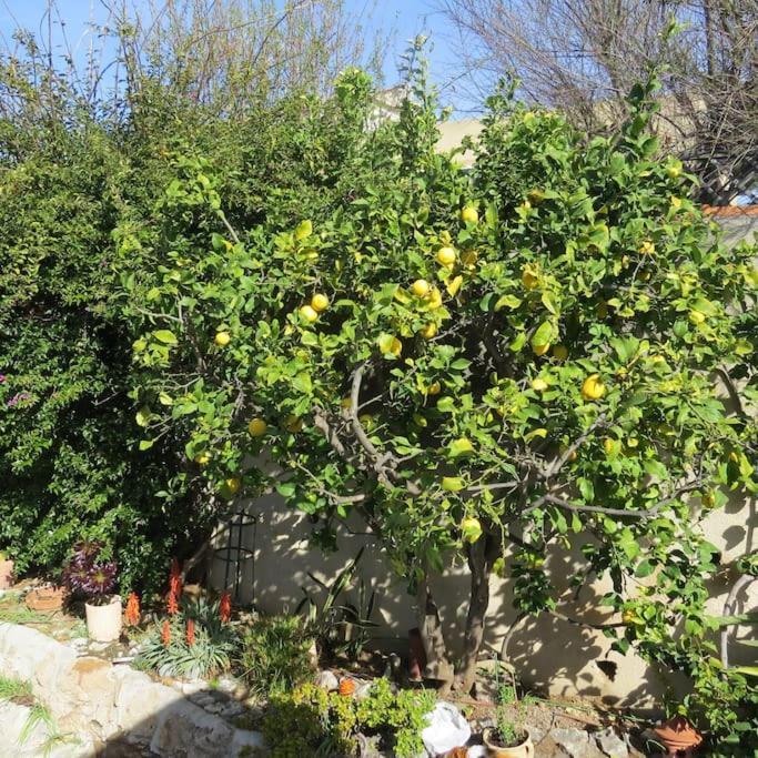 Helios - Vue Mer, Terrasse, Jardin, Piscine, Parking Villa