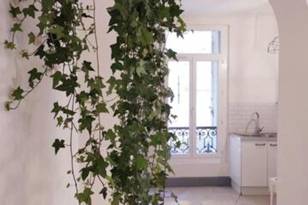 Apartment L'ombre Du Vieux-port Spacieux