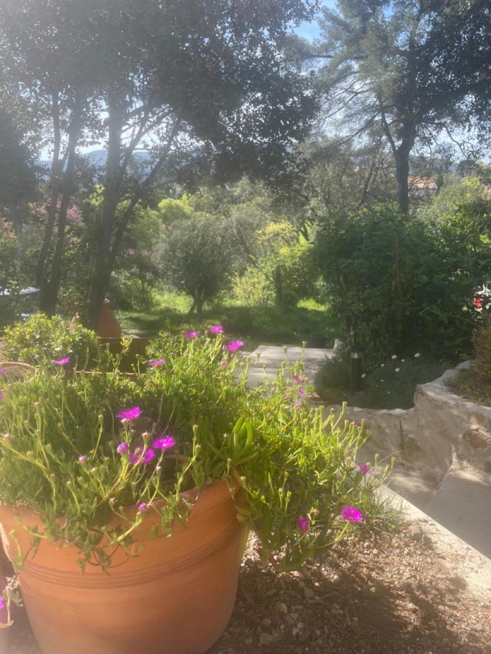 Bastide La Courlette - Vue Panoramique Et Nature * Marseille
