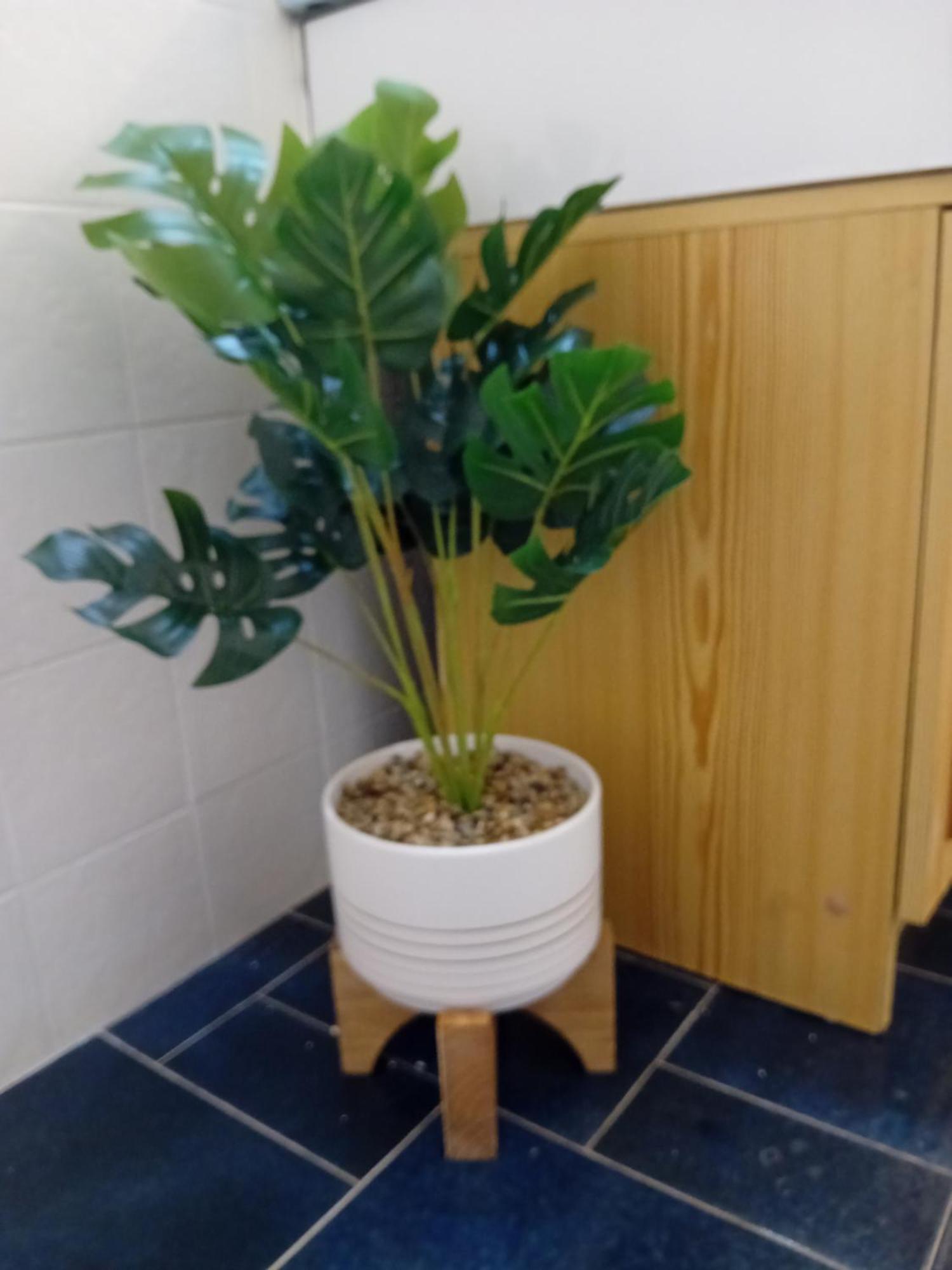 Apartment Bas De Avec Jardin Piscine Clim Proche Plages Calanques