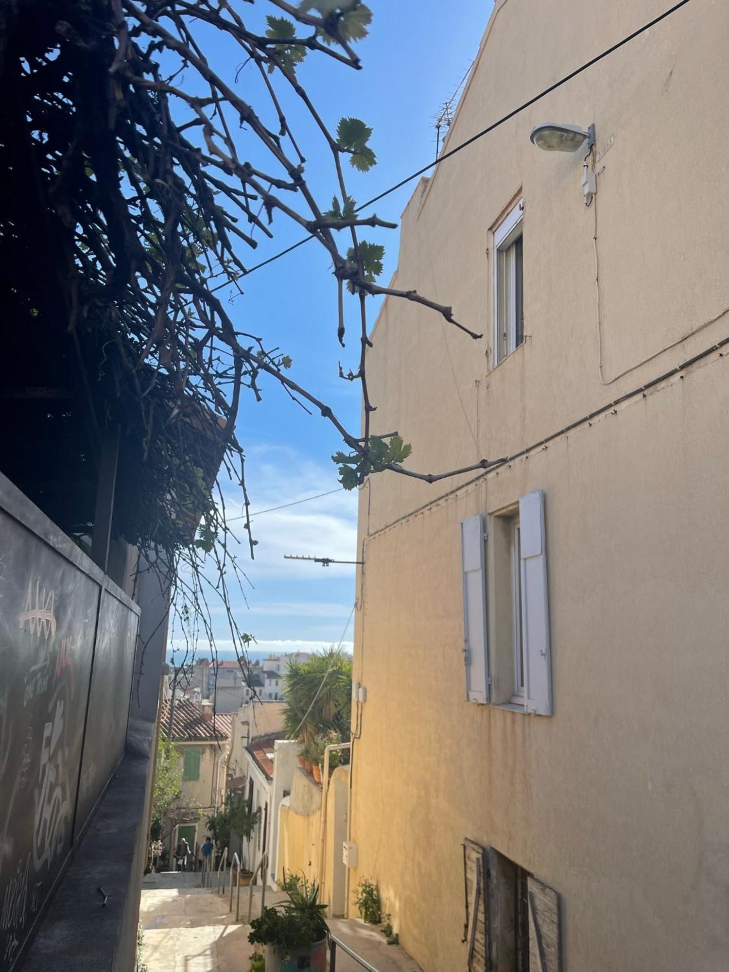 + Terrasse A 5min A Pied De La Mer Et Du Vallon Des Auffes Apartamento *