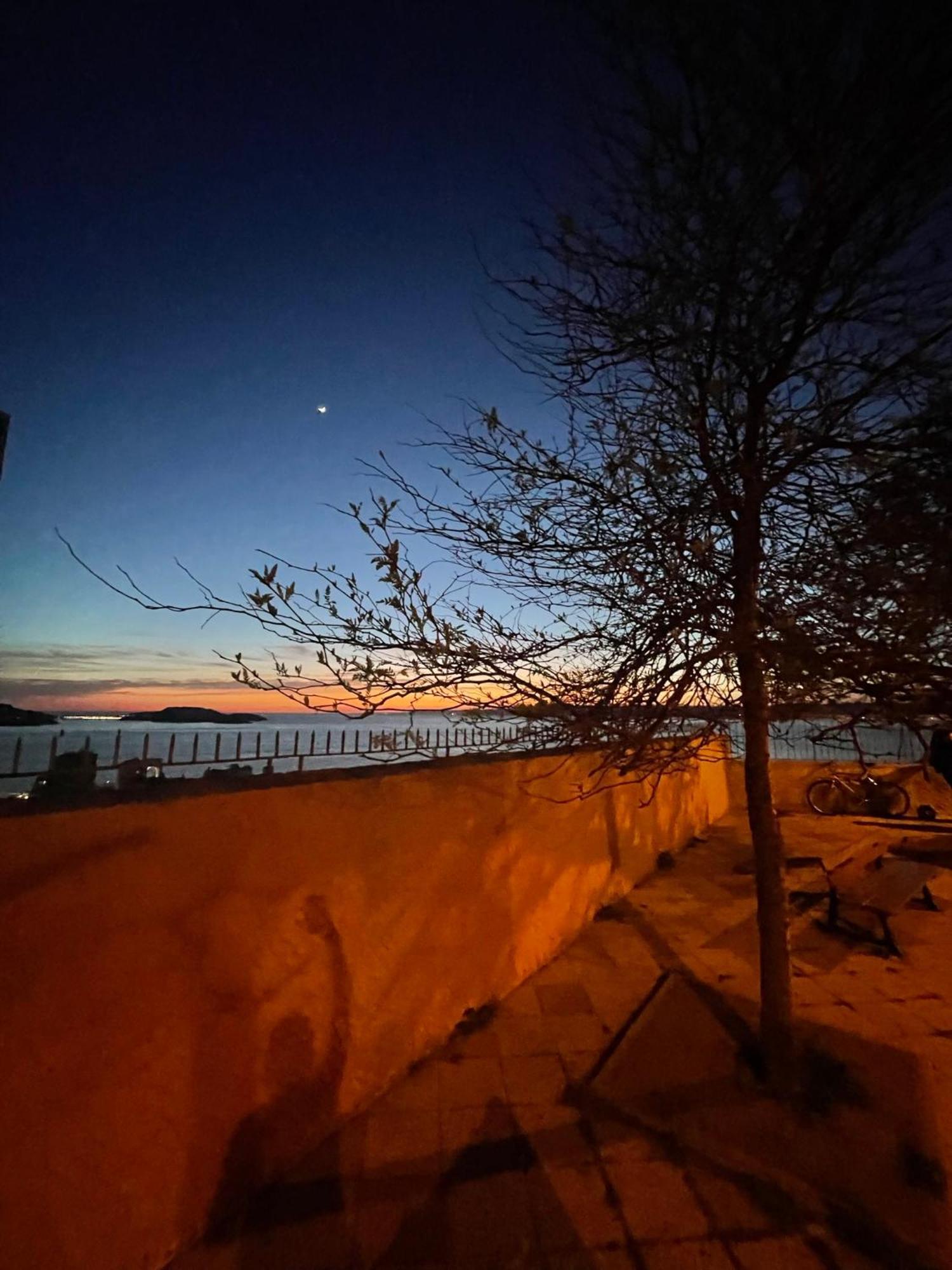 + Terrasse A 5min A Pied De La Mer Et Du Vallon Des Auffes *