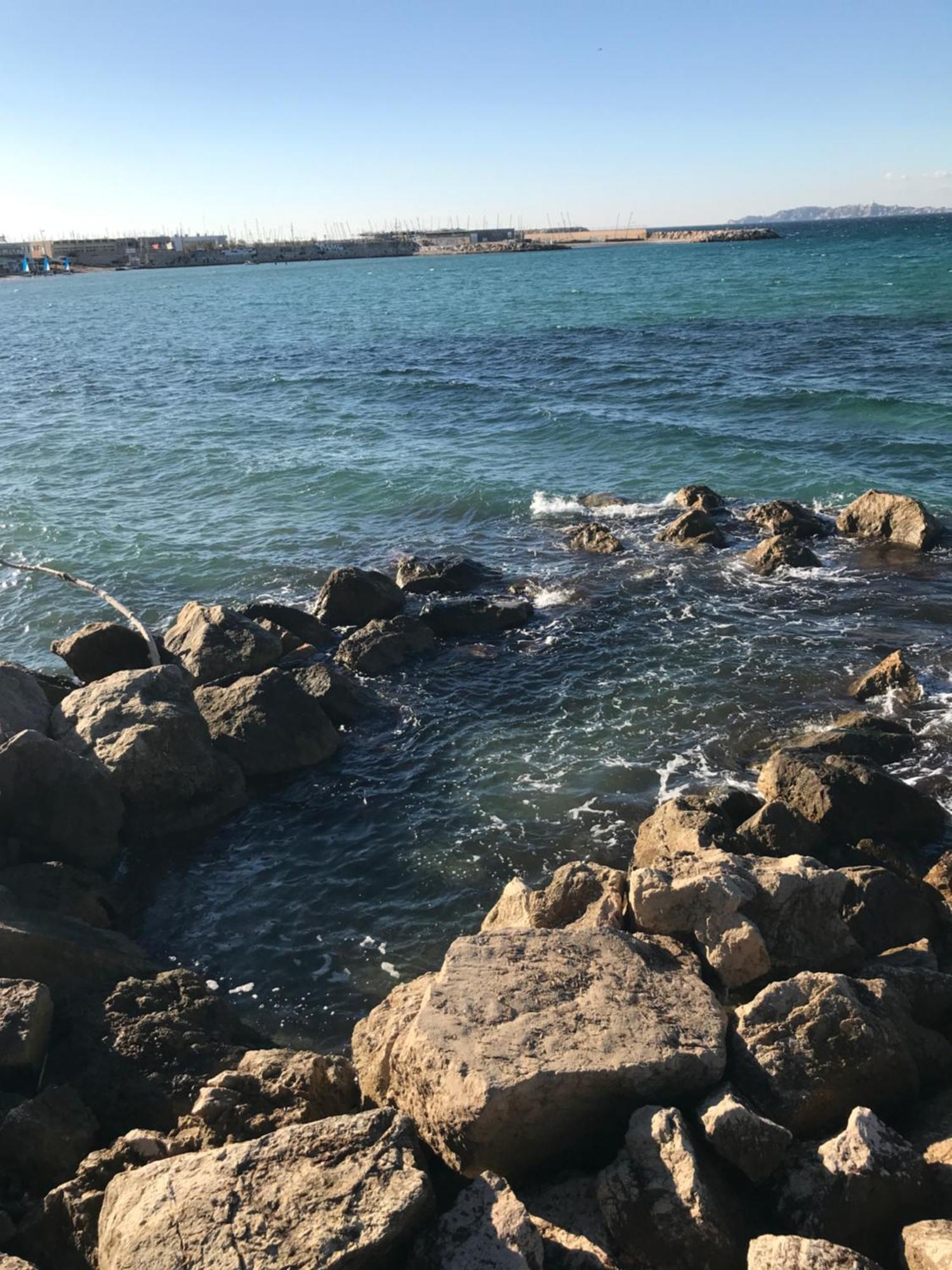 Pointe Rouge Borely Marseilles