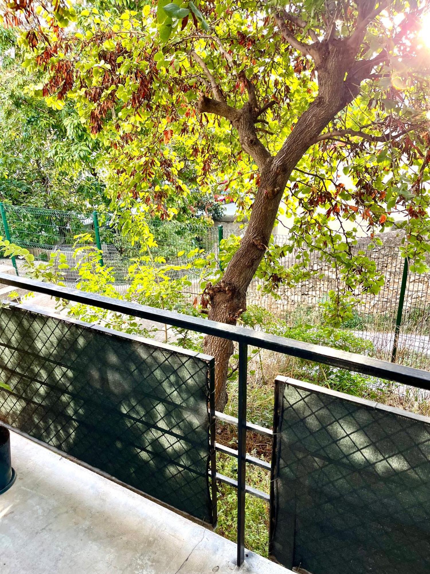 Roucas - Corniche Appartement