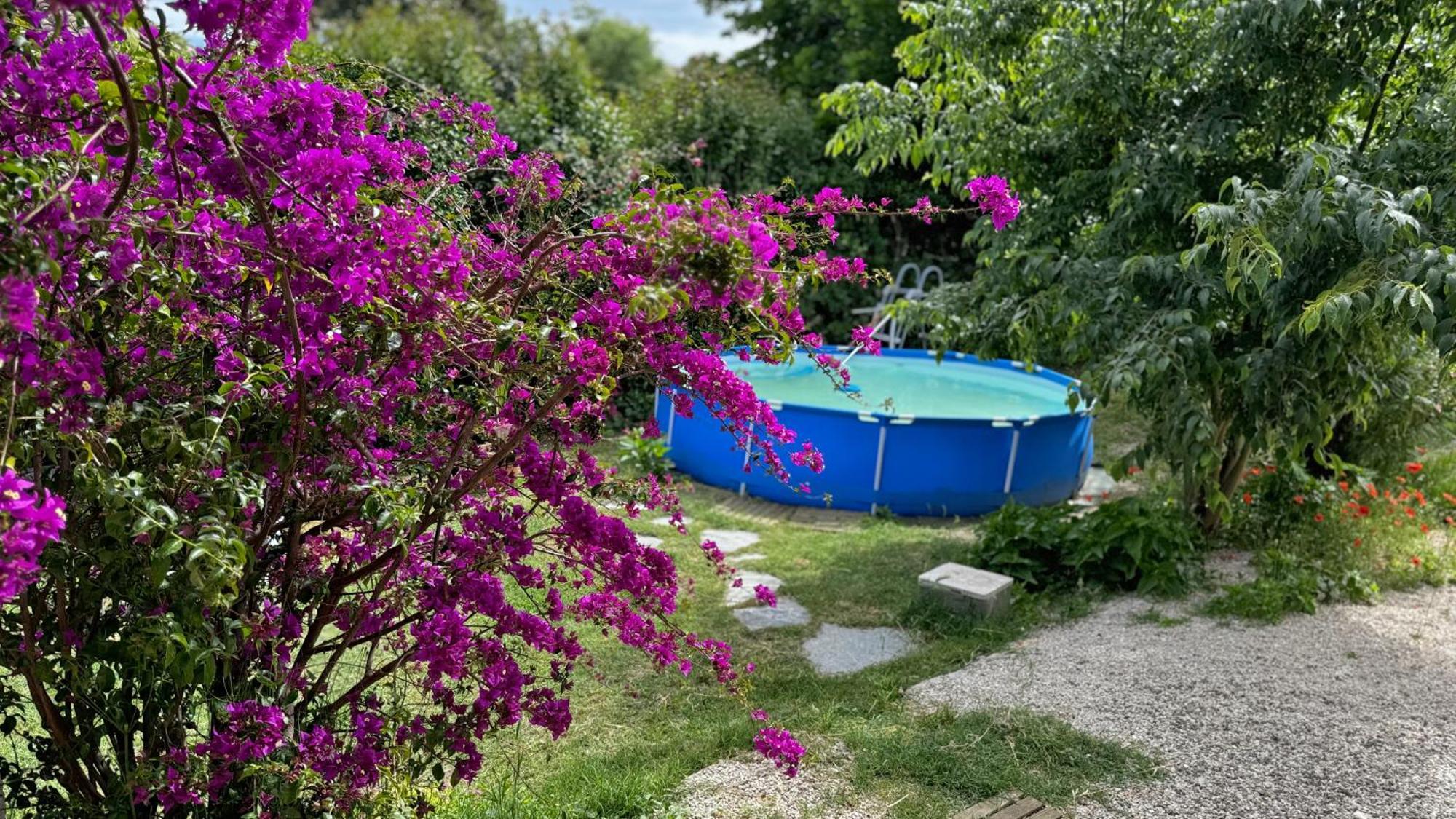 Villa Maison, Piscine, Jardin & Calme *