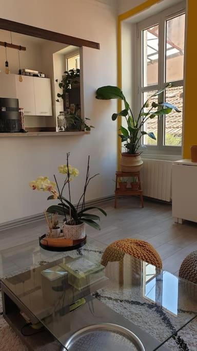 Mon Jardin Secret Marseillais Avec Terrasse Dans Le Quartier Cool Du Monde Marseille