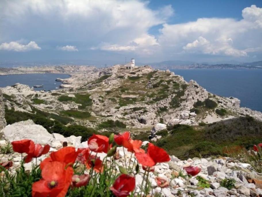 Climatise Au Milieu Du Parc Naturel * Marseille