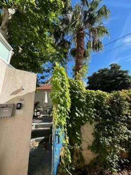 Bord De Mer, Magnifique De 150m2 Avec Jardin Apartment