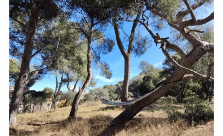 Ecrin De Verdure Villa Marseille