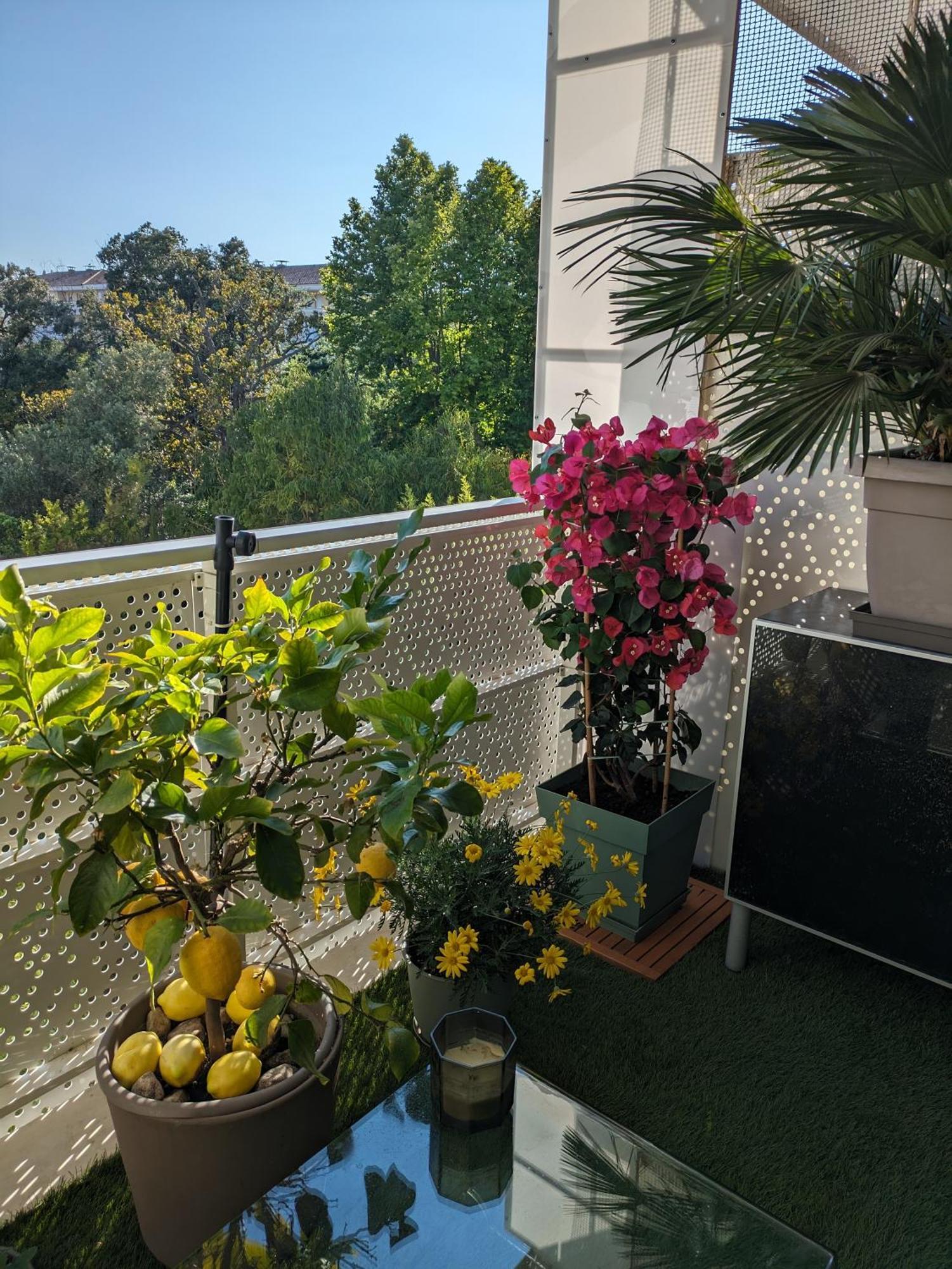 T3 Proche Des Calanques, Terrasse, Vue Collines