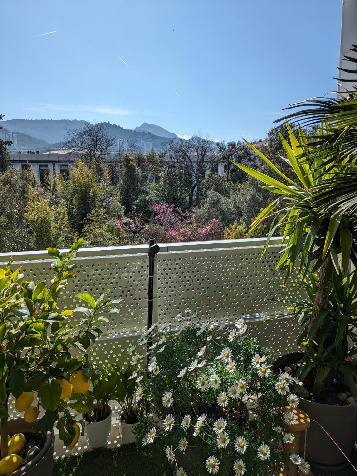 T3 Proche Des Calanques, Terrasse, Vue Collines Apartment