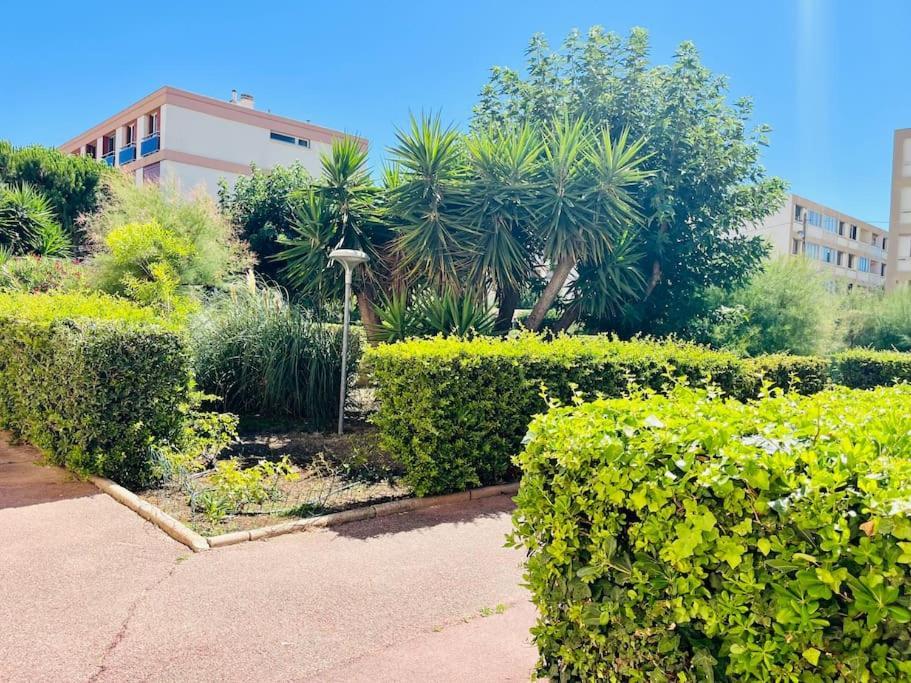 Apartment L'escale T2 Neuf A 50m De La Marseilles