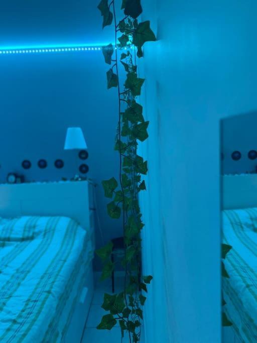 Pousada Jolie Maison Provencale Au Volets Bleu