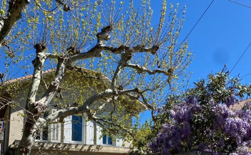 Maison Avec Jardin Proche Plages Holiday home