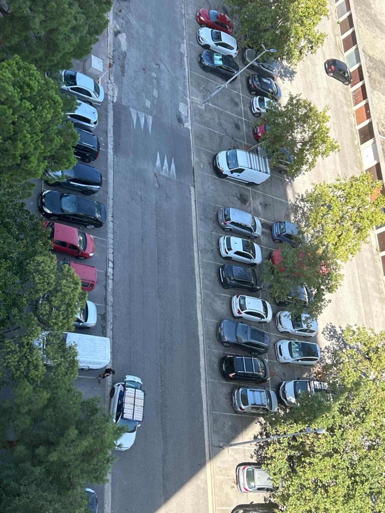 Apartment Plage, Stade Et Parking Prive Dans La *