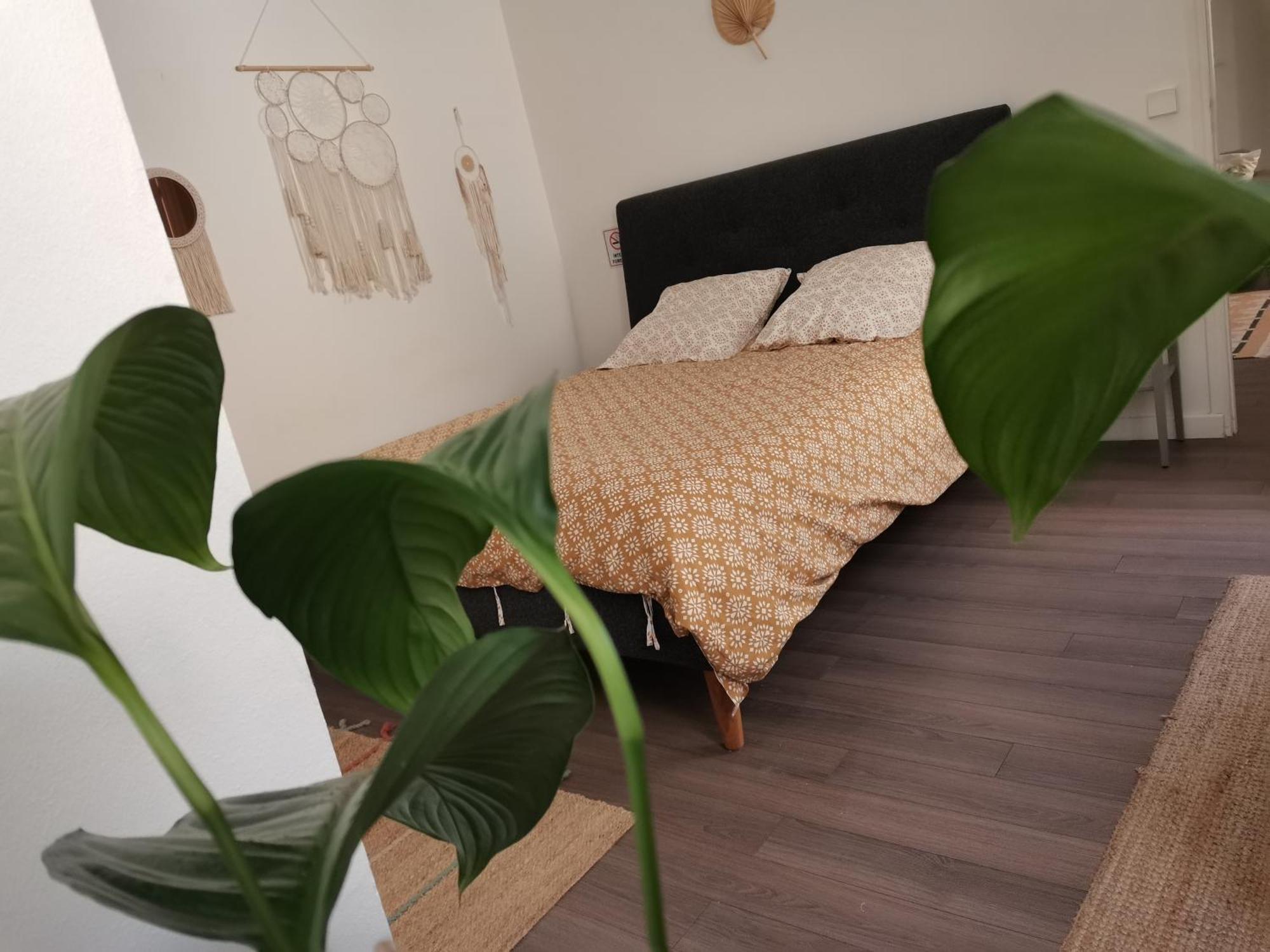 Catalans Apartment Marseilles