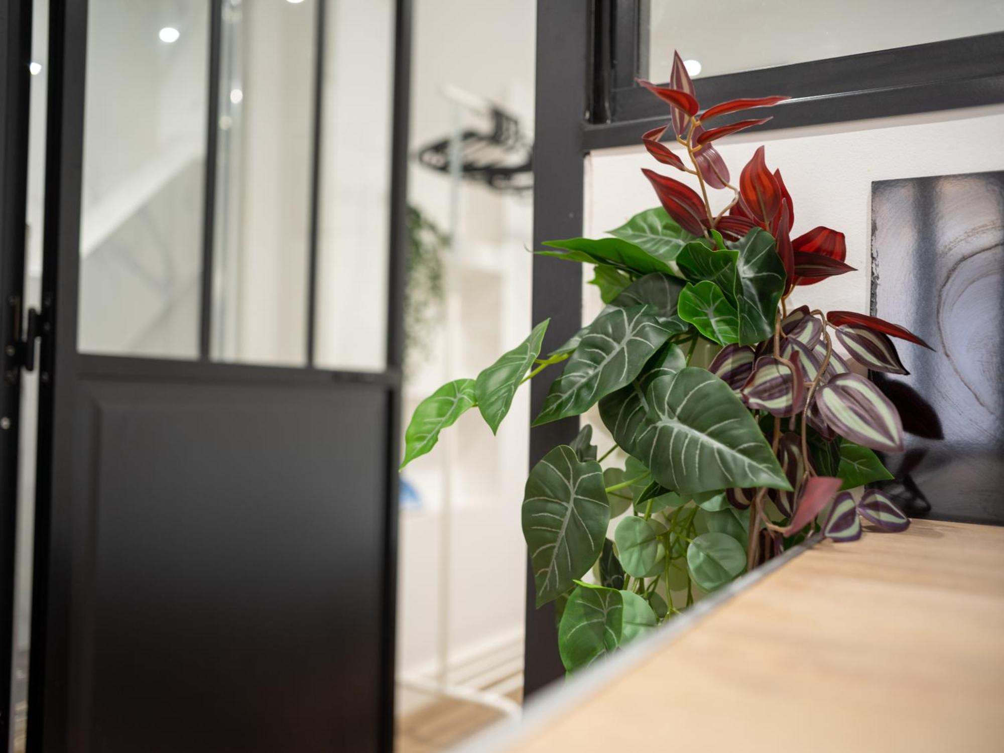 Apartamento Equipe 4 Personnes Au Coeur Du Panier *