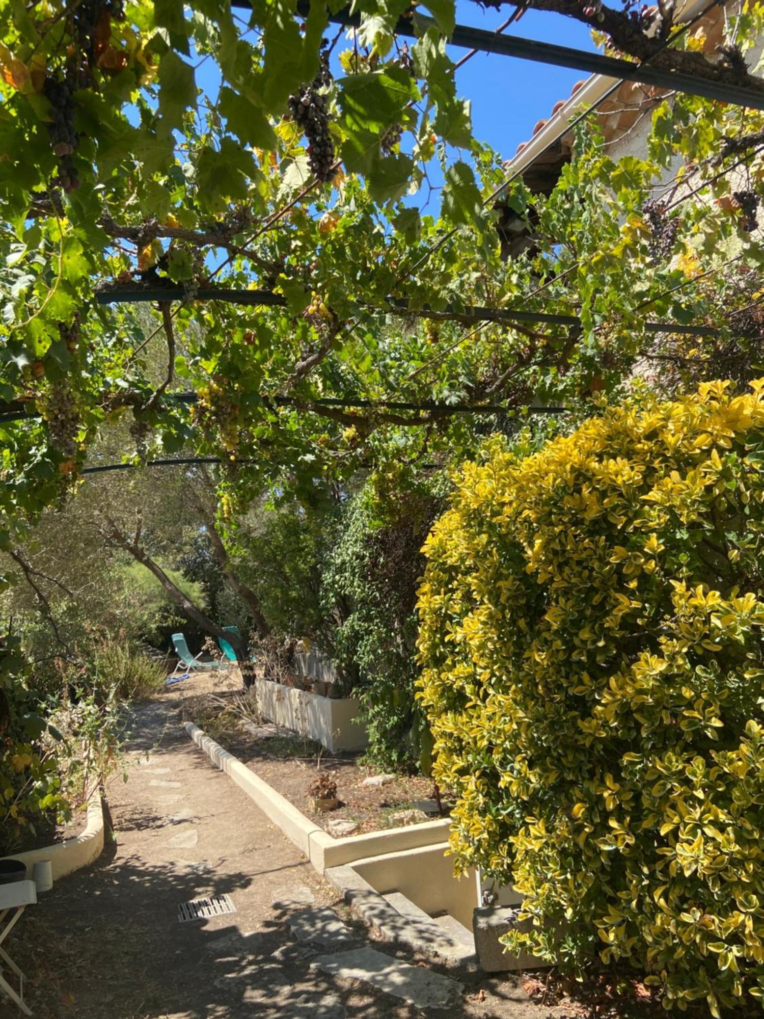 Evasion En Provence Bas De Avec Jardin & Vignes, Soleil & Fraicheur Apartment