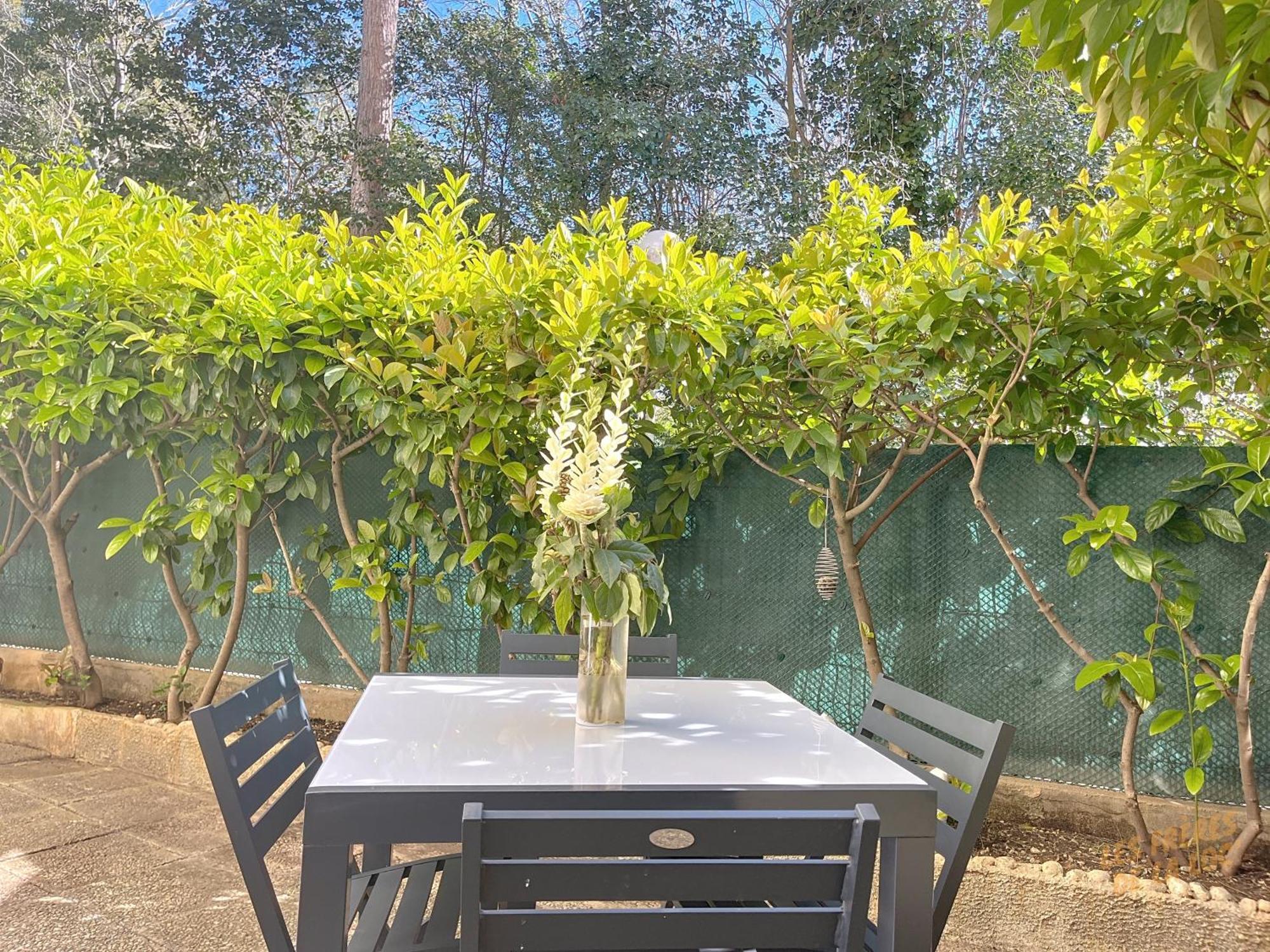 Lumineux En Rez De Jardin & Terrasse - Les Freres De La Loc' Appartement *