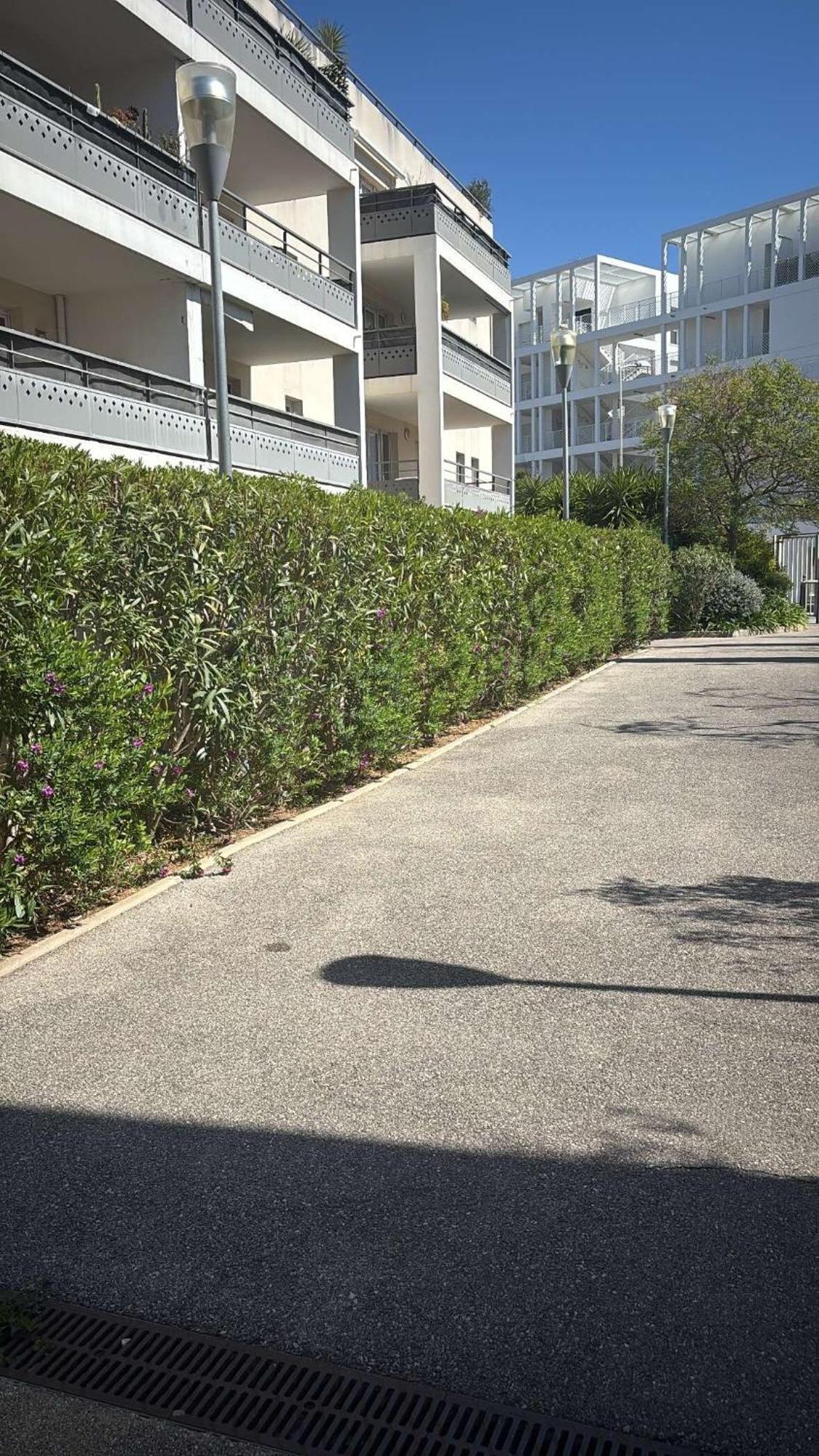 T2 Proche Des Calanques Apartment