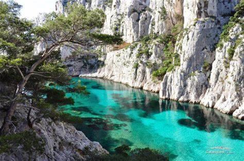 Villa Maison Ensoleillee Au Milieu Des Pins Entre Et Cassis Marseilles