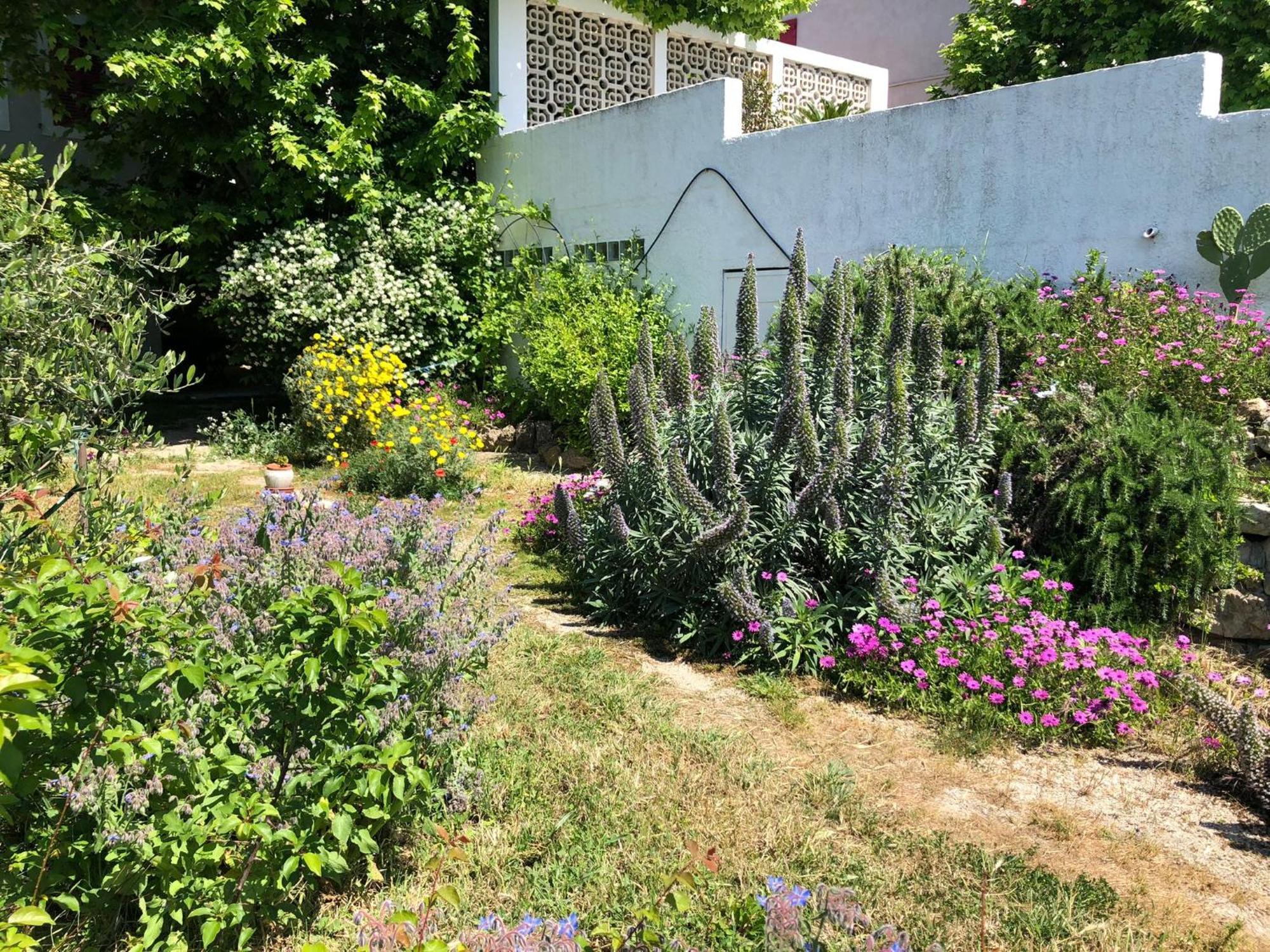 Maison De Charme Classee 3 Etoiles - Calme, Jardin, Salle De Sport, Piscine *