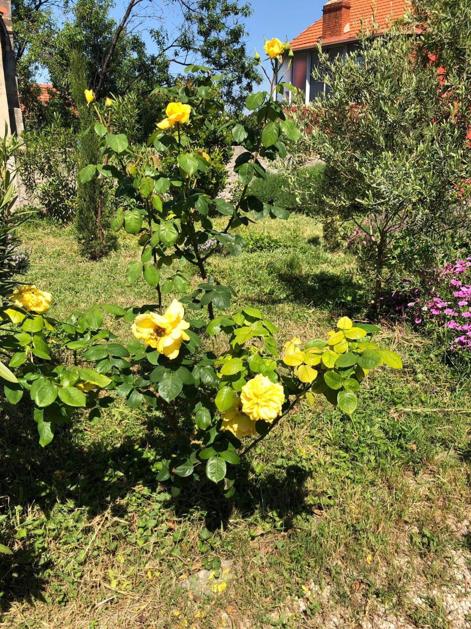 Maison De Charme Classee 3 Etoiles - Calme, Jardin, Salle De Sport, Piscine Holiday home *
