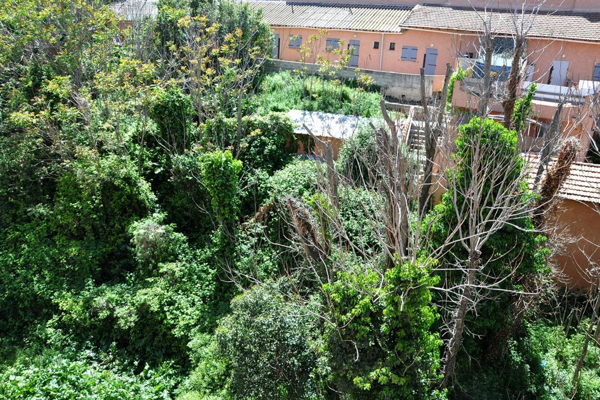 Appartement Balcony In The Heart Of