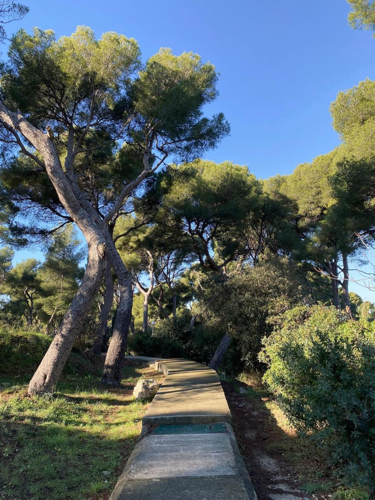 Maison Californienne Avec Piscine Proche De La * Marseille