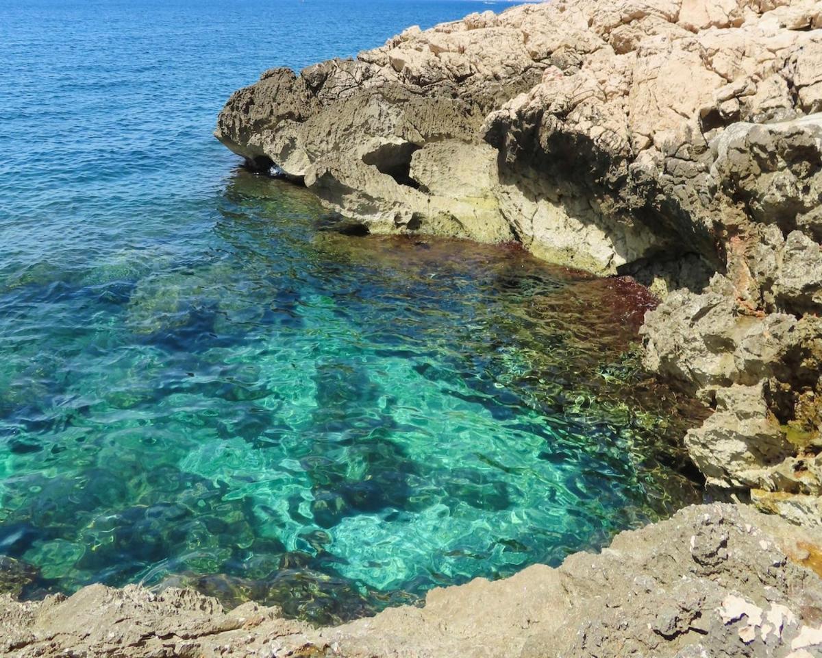 La Belle Escapade Au Coeur De Marseilles