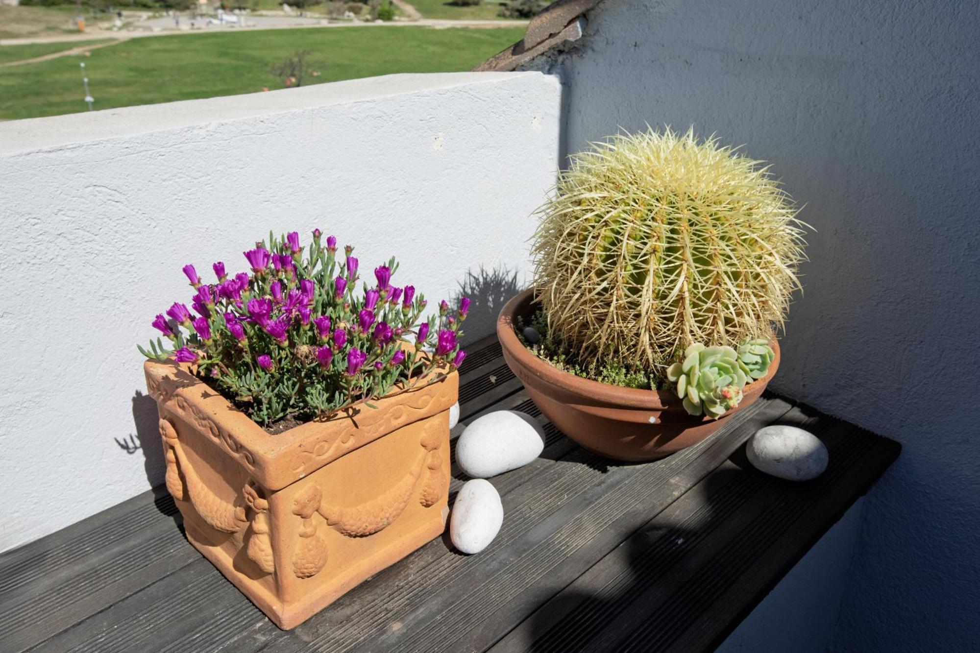 Apartment Les Palmiers