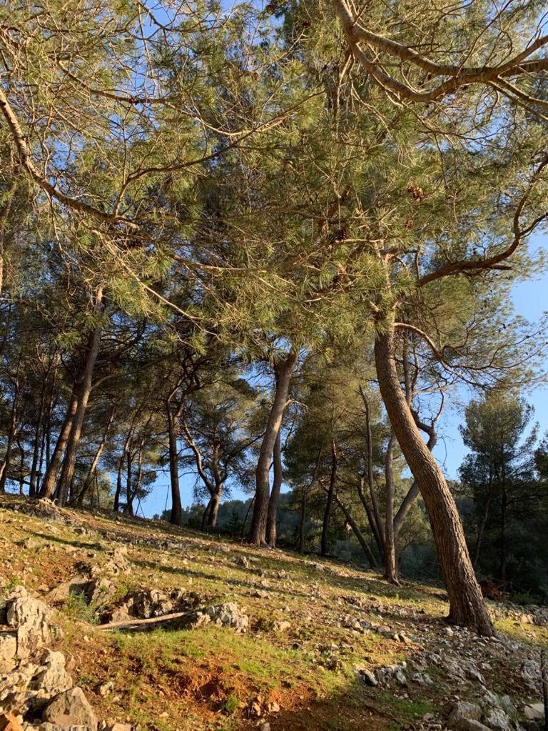 Atypical Forest House With Jacuzzi * Marseille
