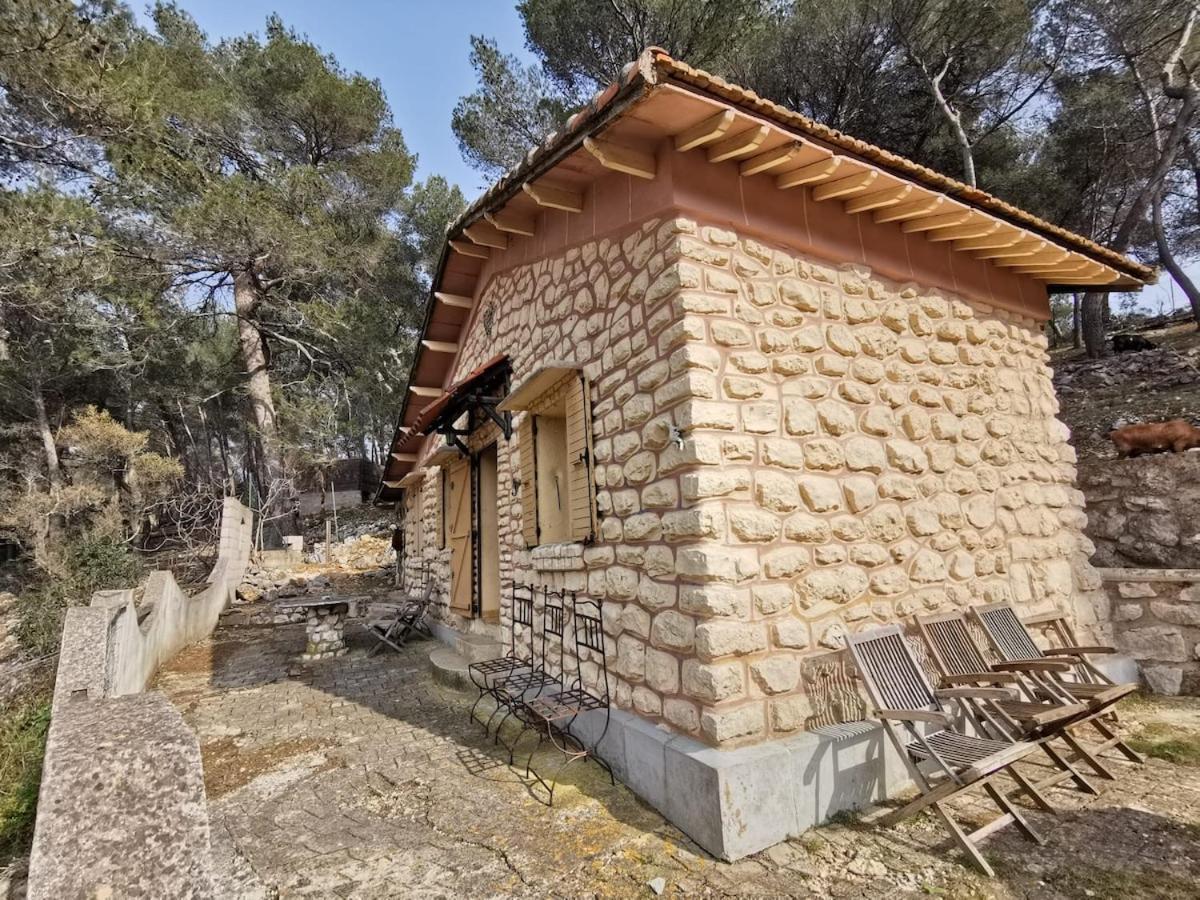 Atypical Forest House With Jacuzzi * Marseille