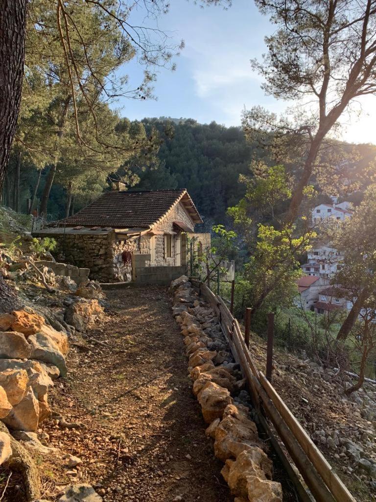 Atypical Forest House With Jacuzzi Holiday home Marseille