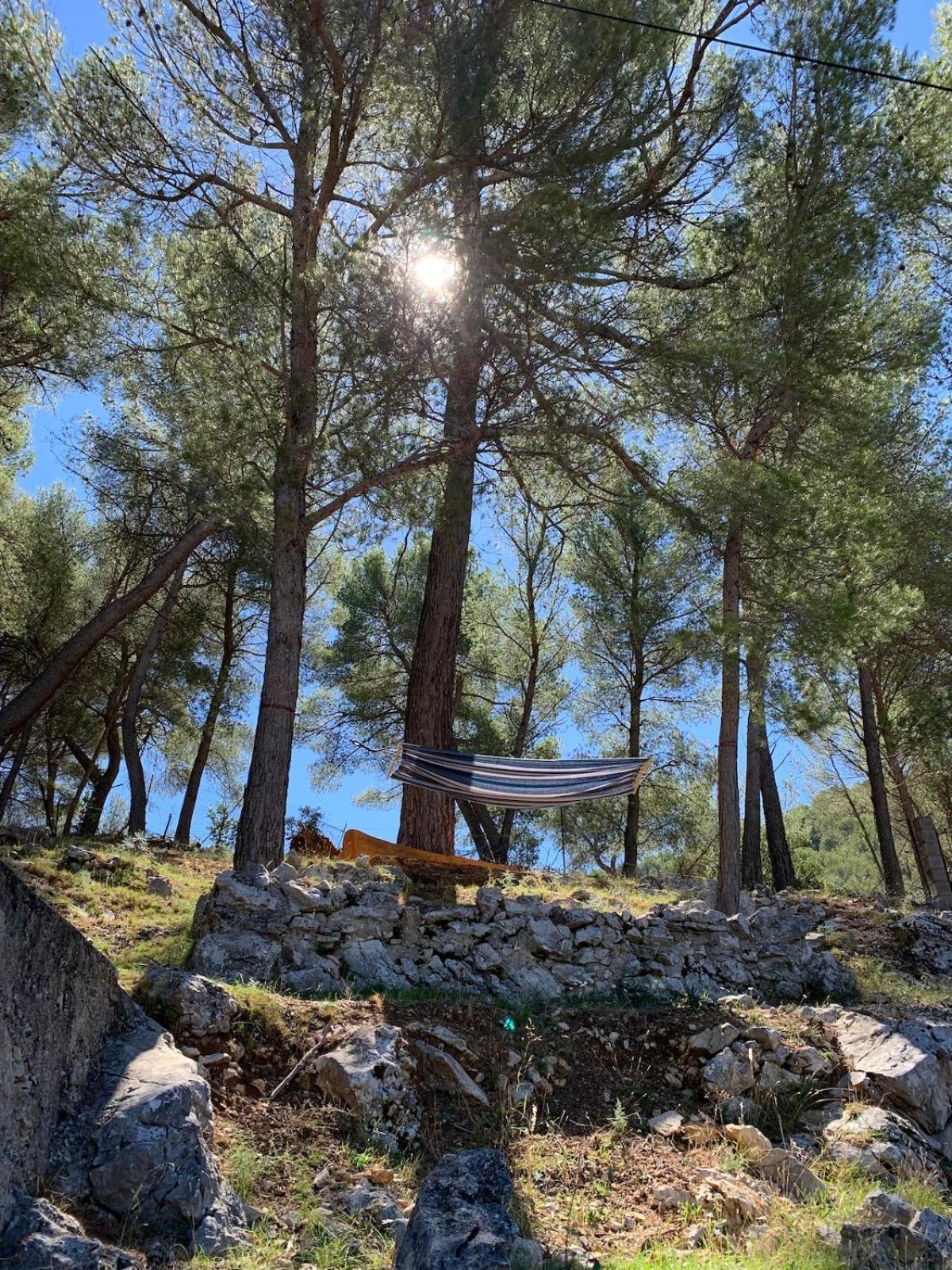 Holiday home Atypical Forest House With Jacuzzi *