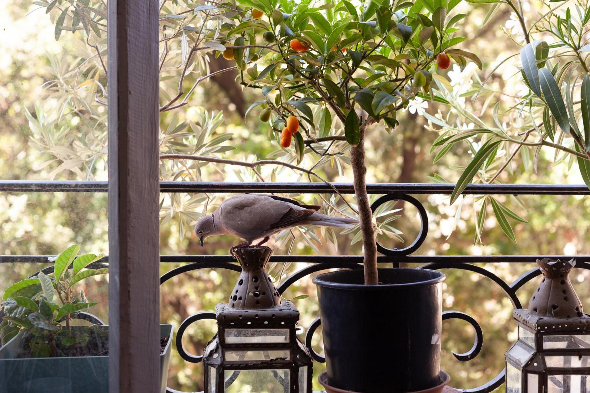 Bed & Breakfast D'hotes Chez Marie