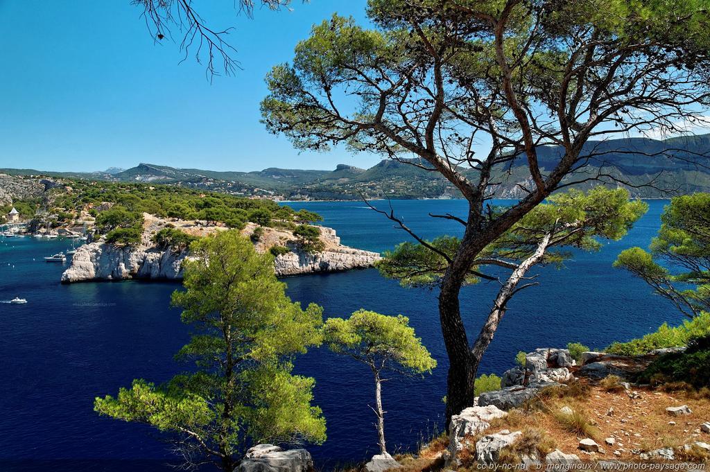 Le Nid Marseillais - Vieux Port Appartement