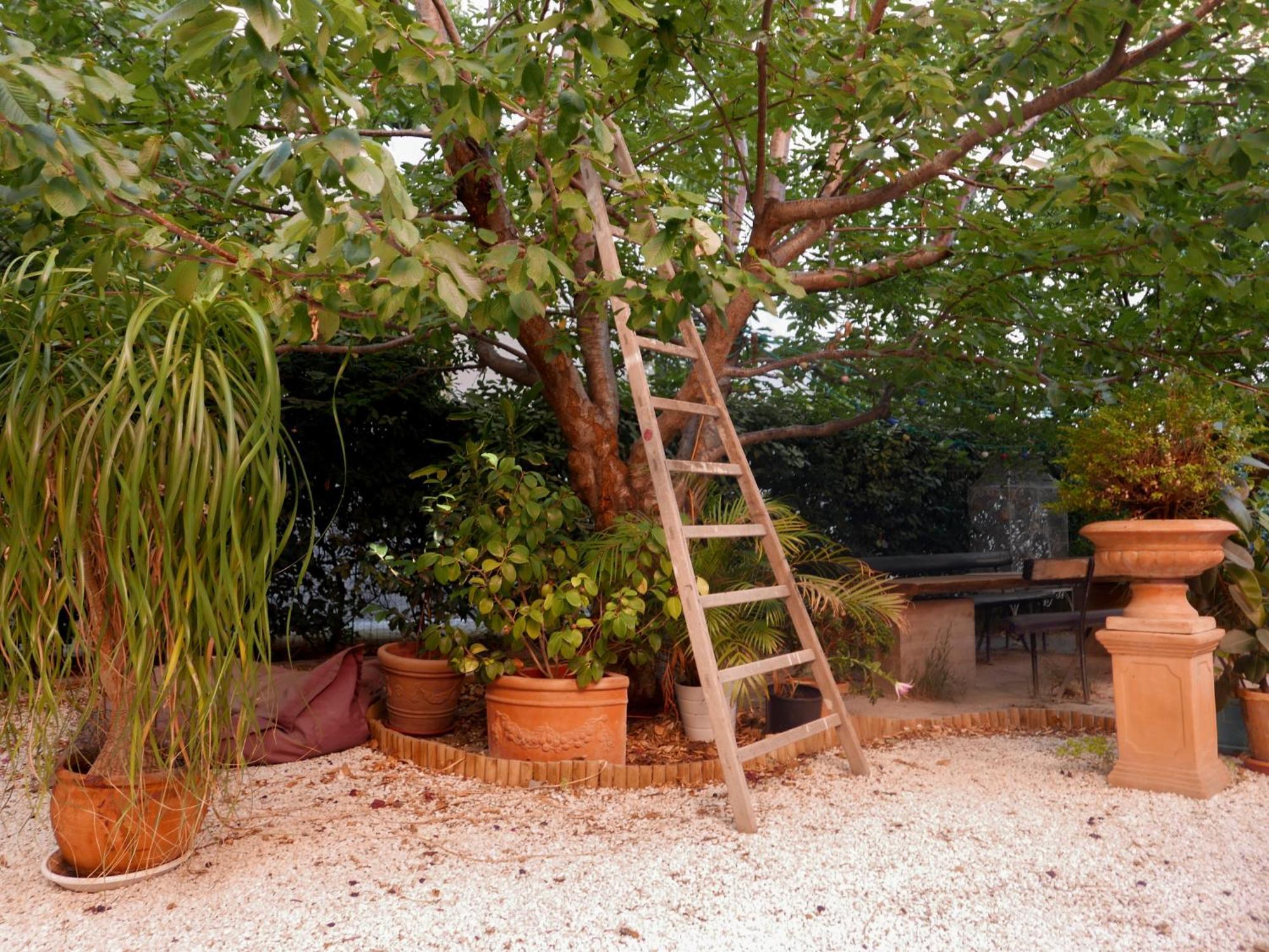 Bnb Jardin Vieux Port Panier *