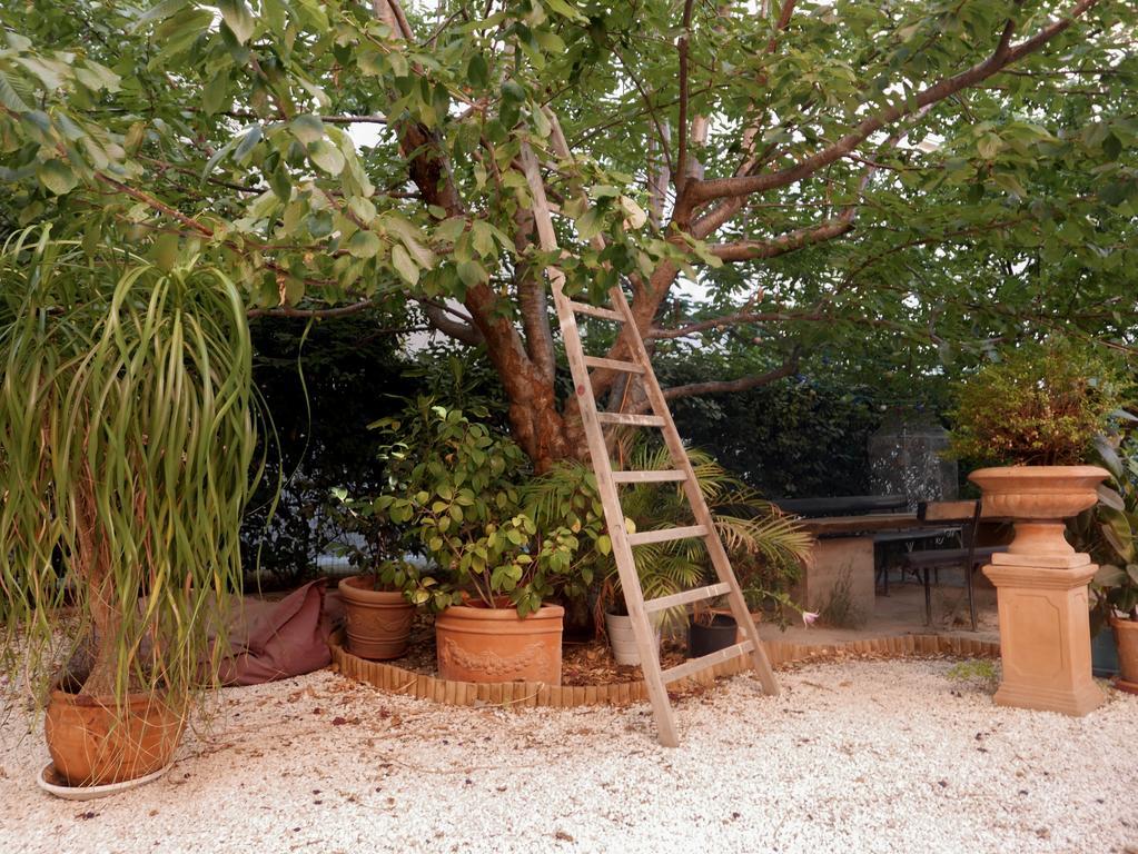 Gasthof Vieux Port Panier Jardin Marseilles