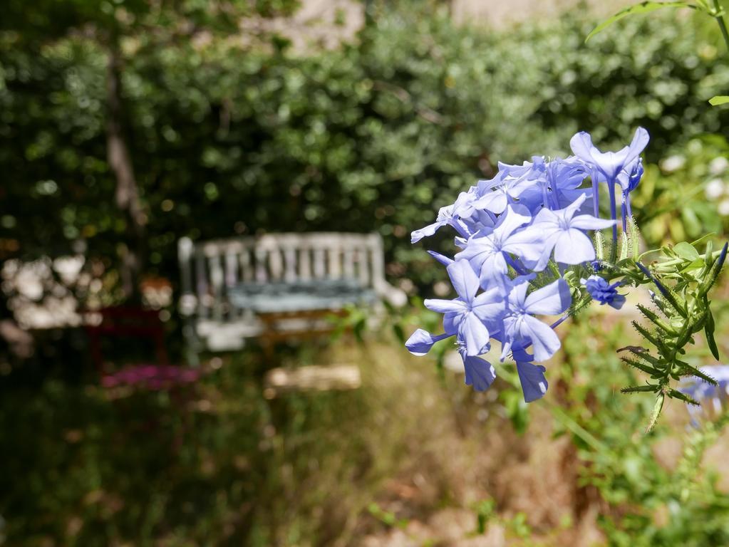 Gasthof Vieux Port Panier Jardin Marseilles