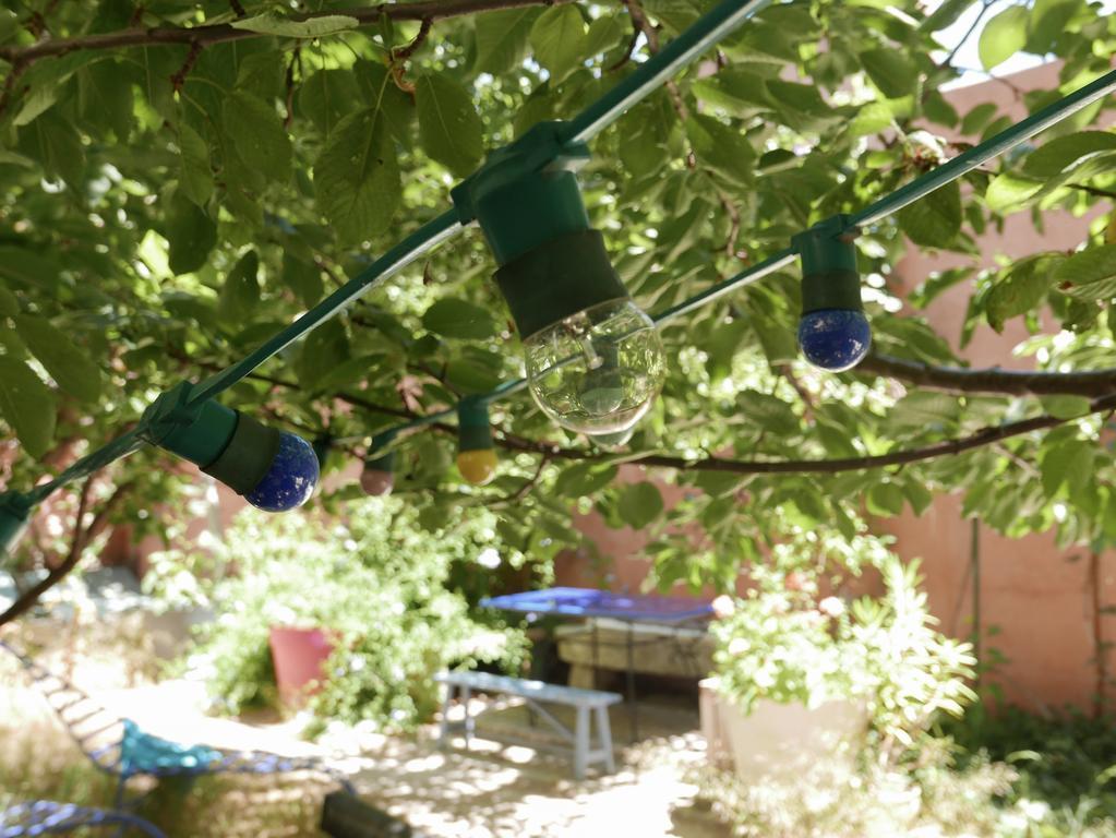 Vieux Port Panier Jardin *