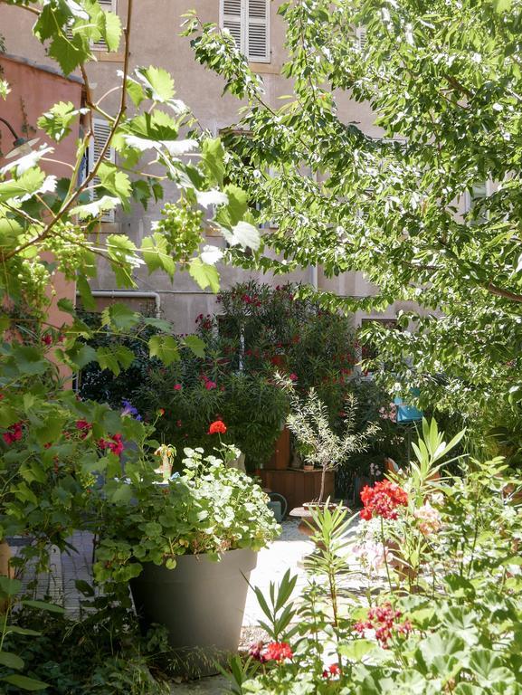 Vieux Port Panier Jardin *