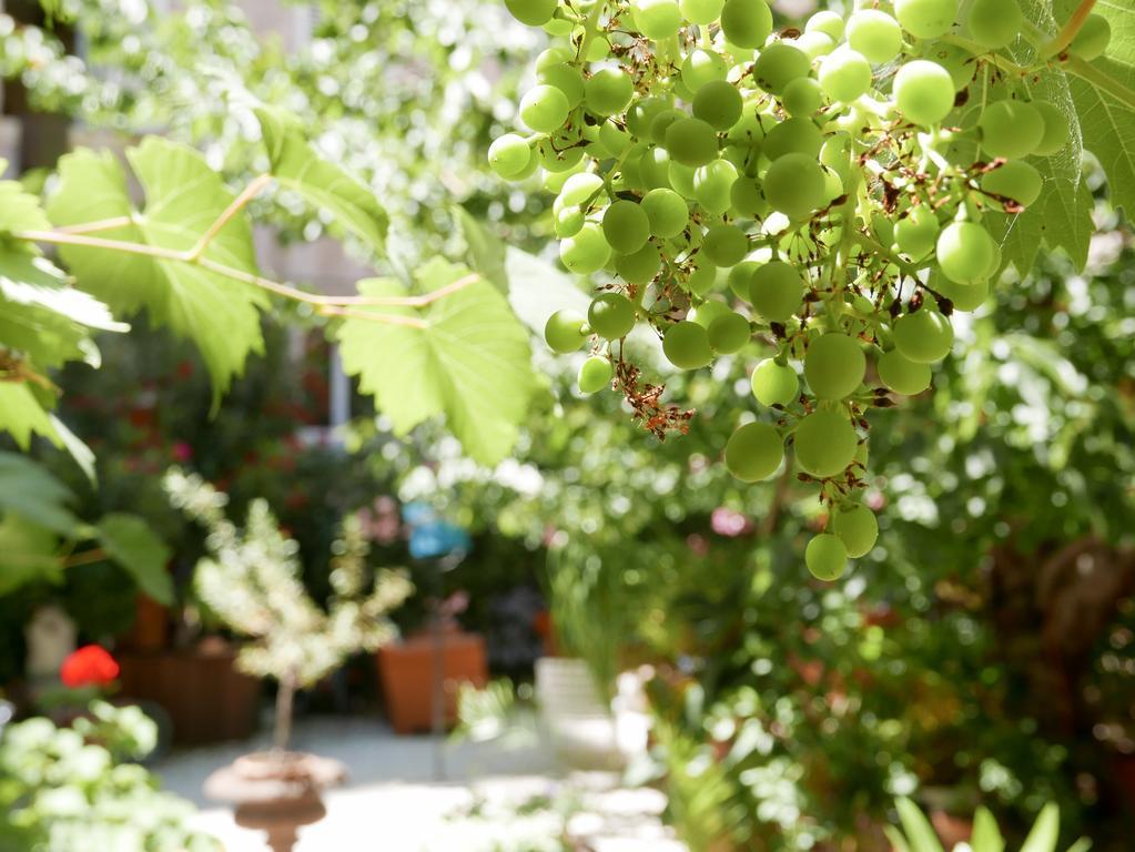 Vieux Port Panier Jardin Marseilles