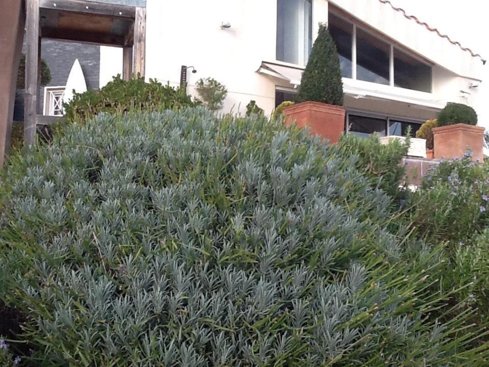 La Blanche Bed & Breakfast Marseille